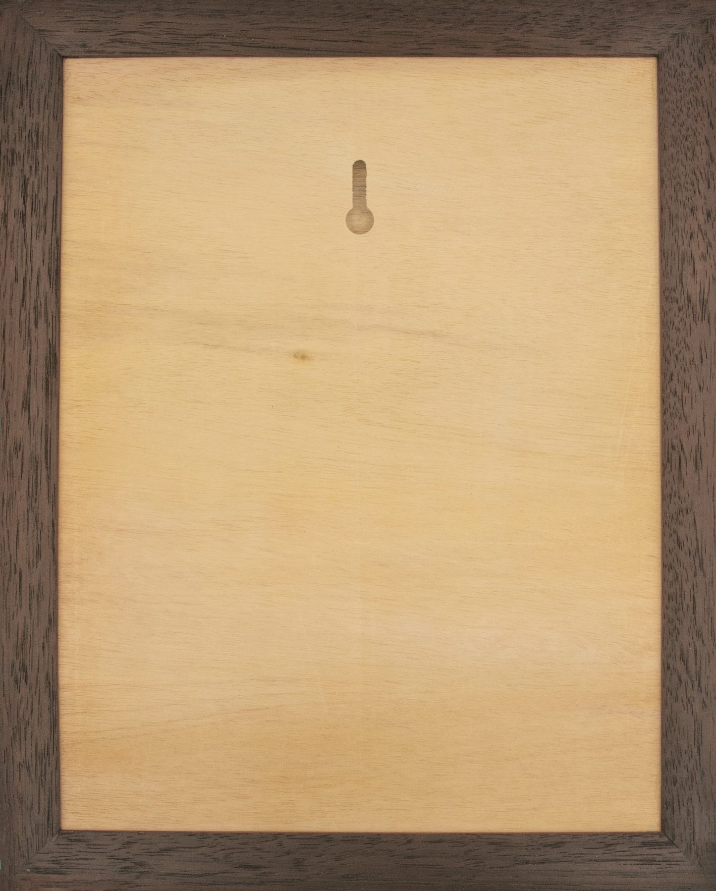 Framed Wall Art - Terrapin - Maple Base