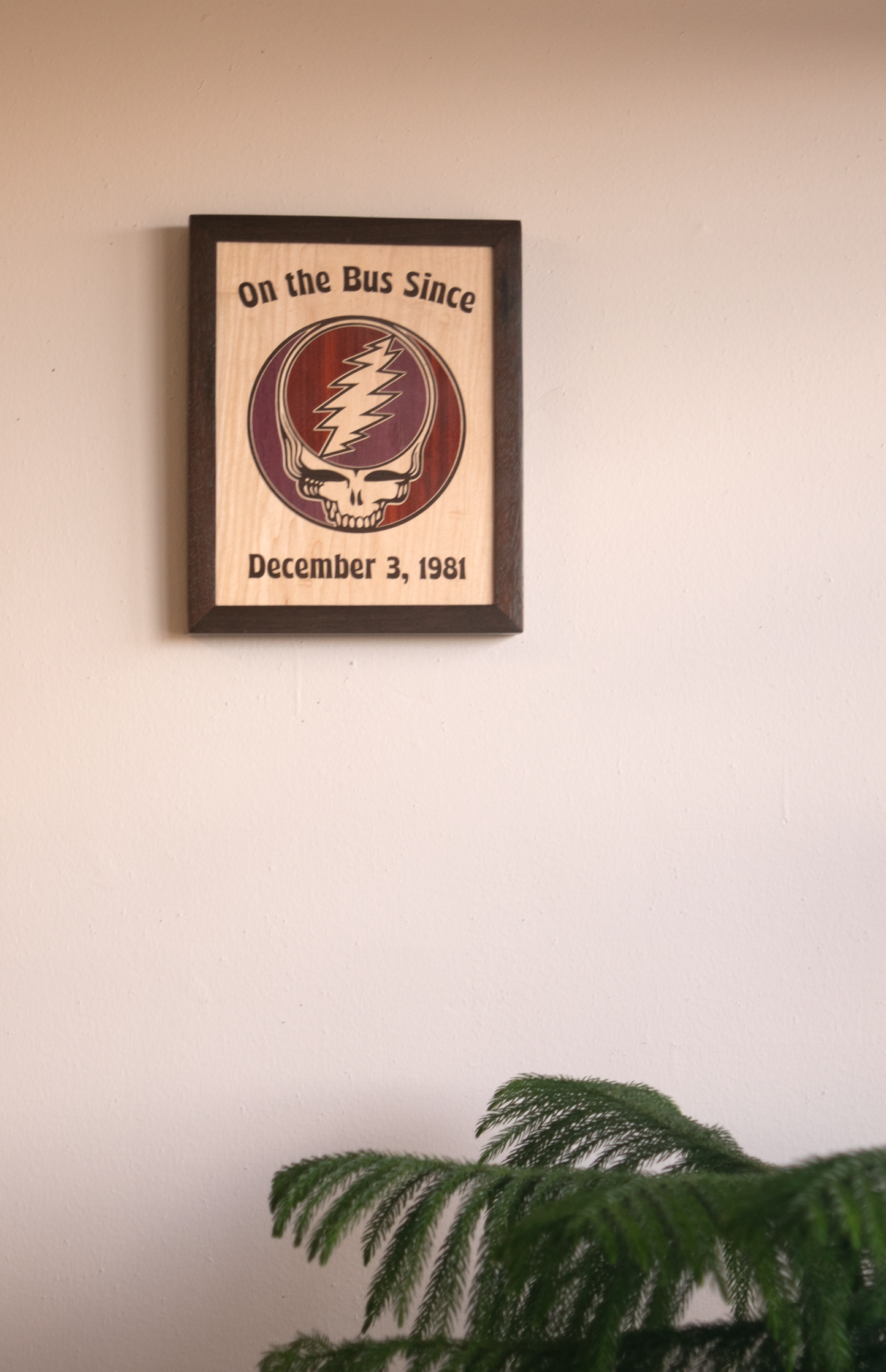 Framed Wall Art - Stealie - Maple Base